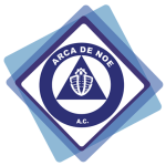 cropped-cropped-logo-web.png